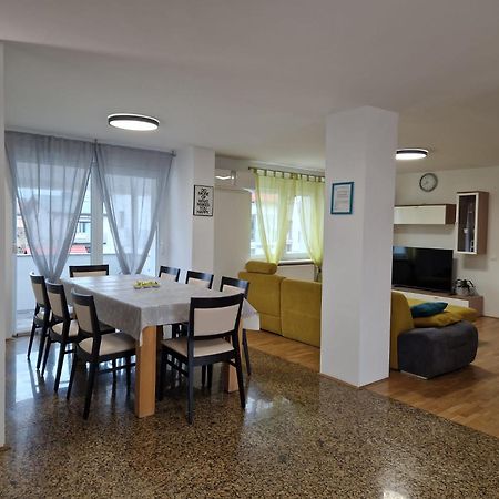 Patricia House Daire Ljubljana Dış mekan fotoğraf