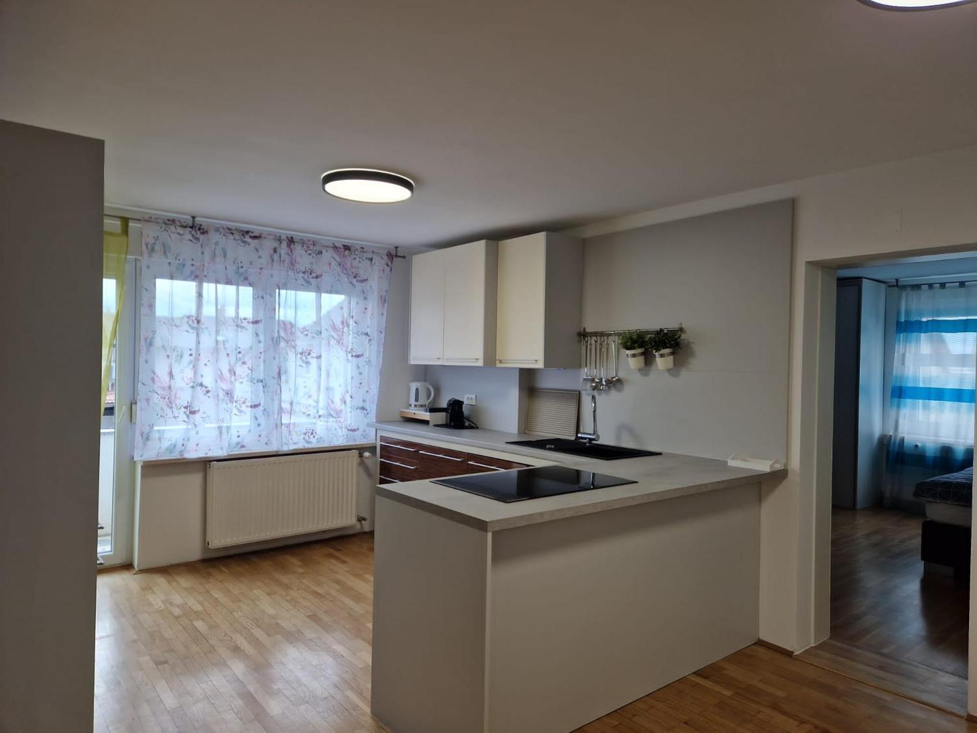 Patricia House Daire Ljubljana Dış mekan fotoğraf